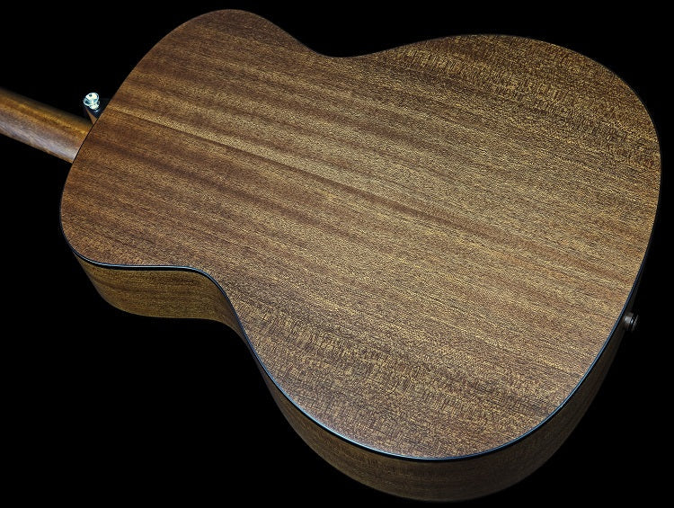 CAG-100HS-E – Zemaitis Guitar Company