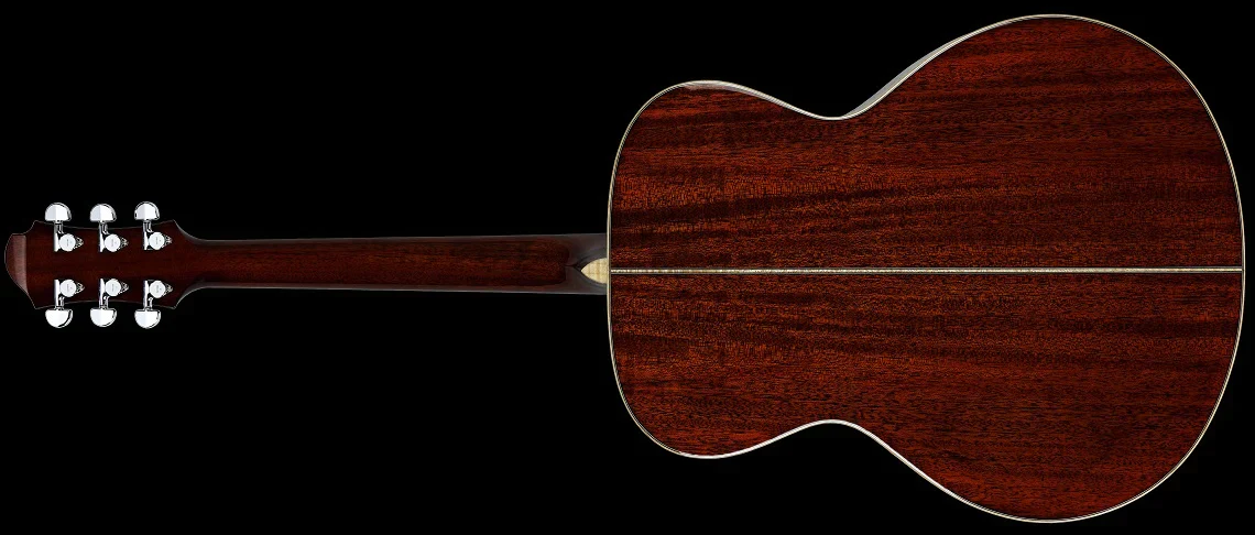 Zemaitis All Mahogany Acoustic full overhead back image