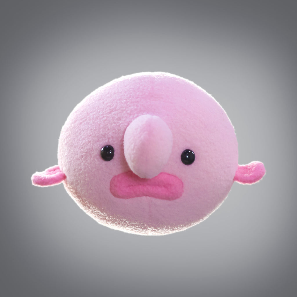 hashtag collectibles blobfish