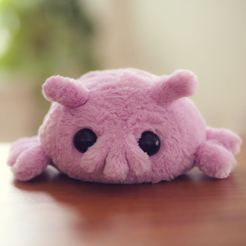 sea pig stuffed animal