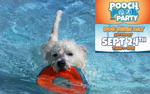 Nashville Shores Pooch Pool Party