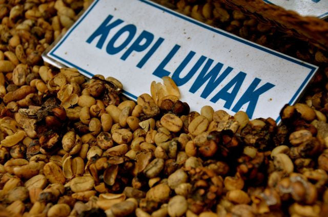  Indonesian  Kopi  Luwak  Coffee Beans 160g Discount Coffee
