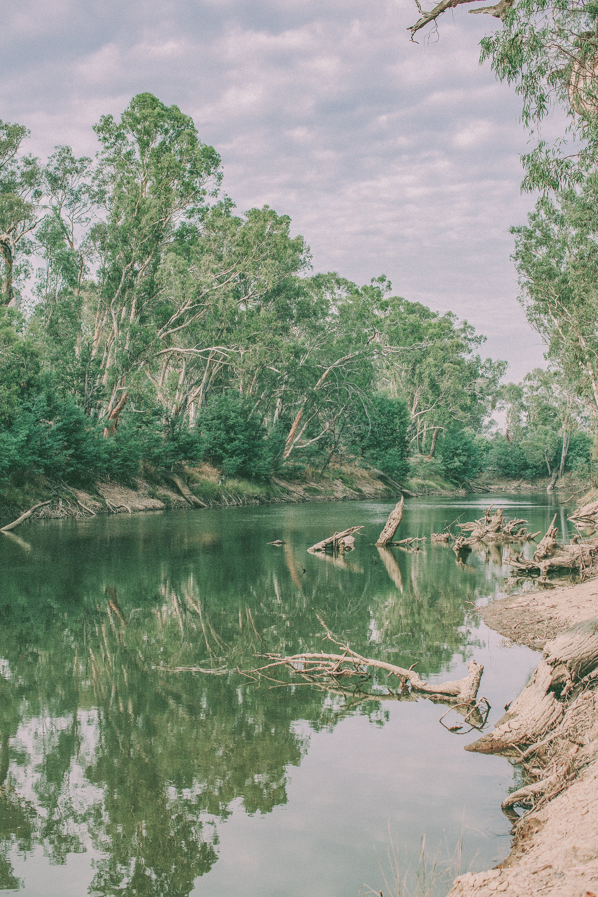 Yorta Yorta Country Minimum Organic Wines