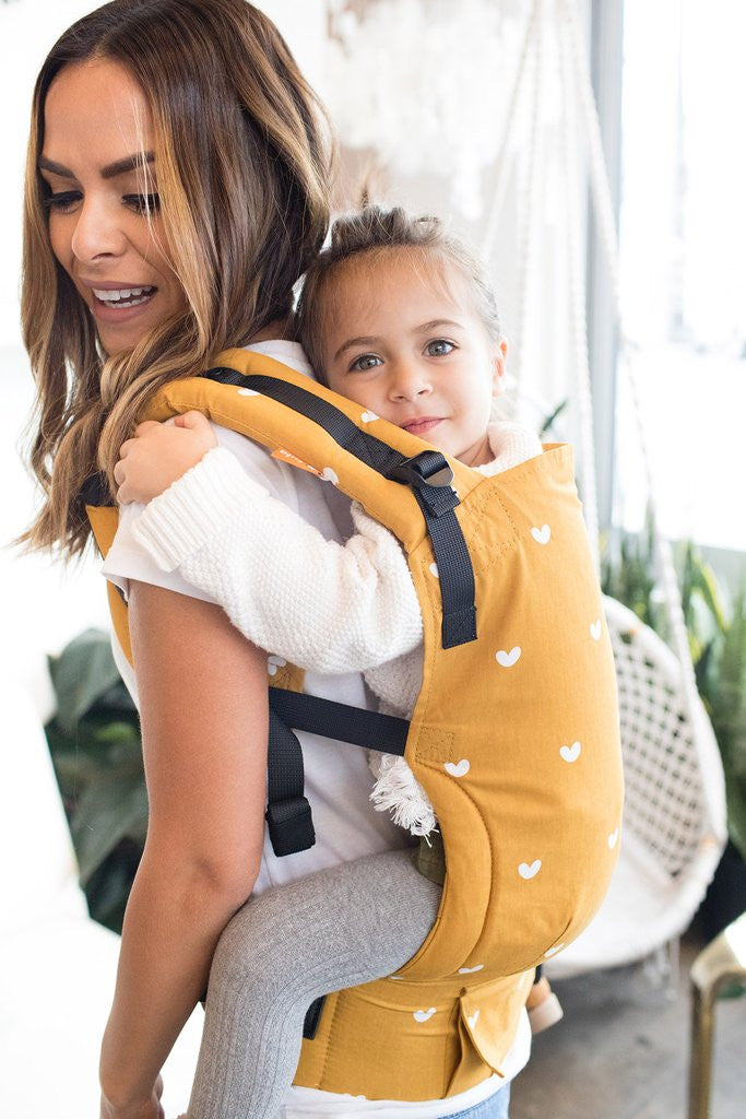 tula baby carrier back