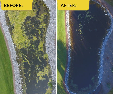 Before and after photos with Pond Prevention
