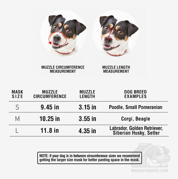 dog muzzle size chart