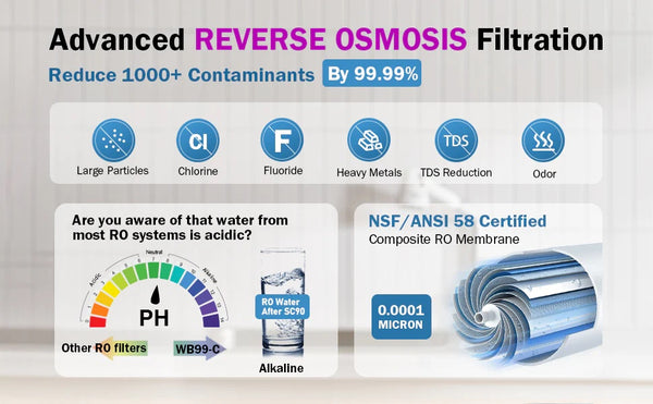 Frizzlife WB99 - Advanced Reverse Osmosis Filtration