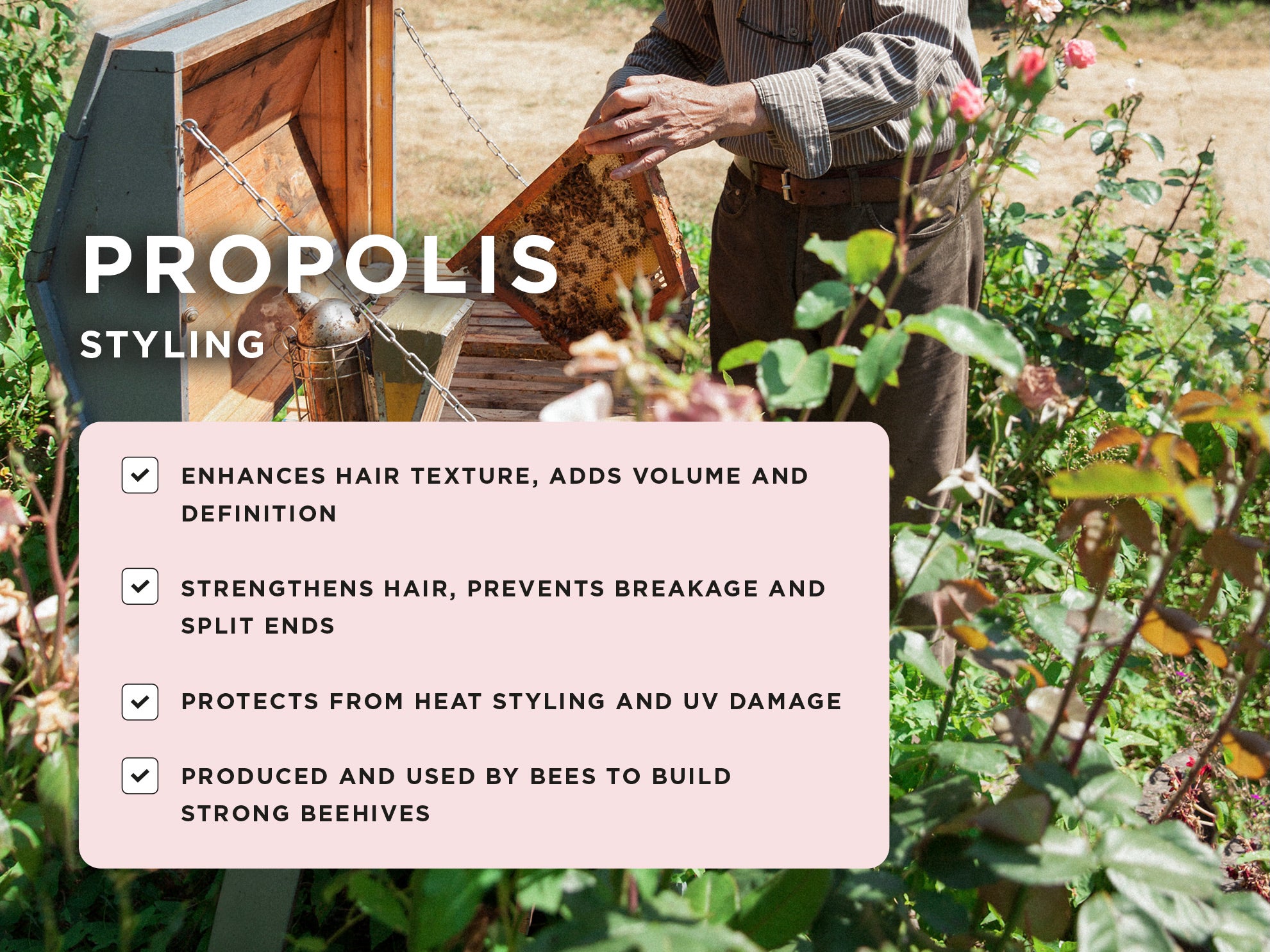 Propolis benefits for hair