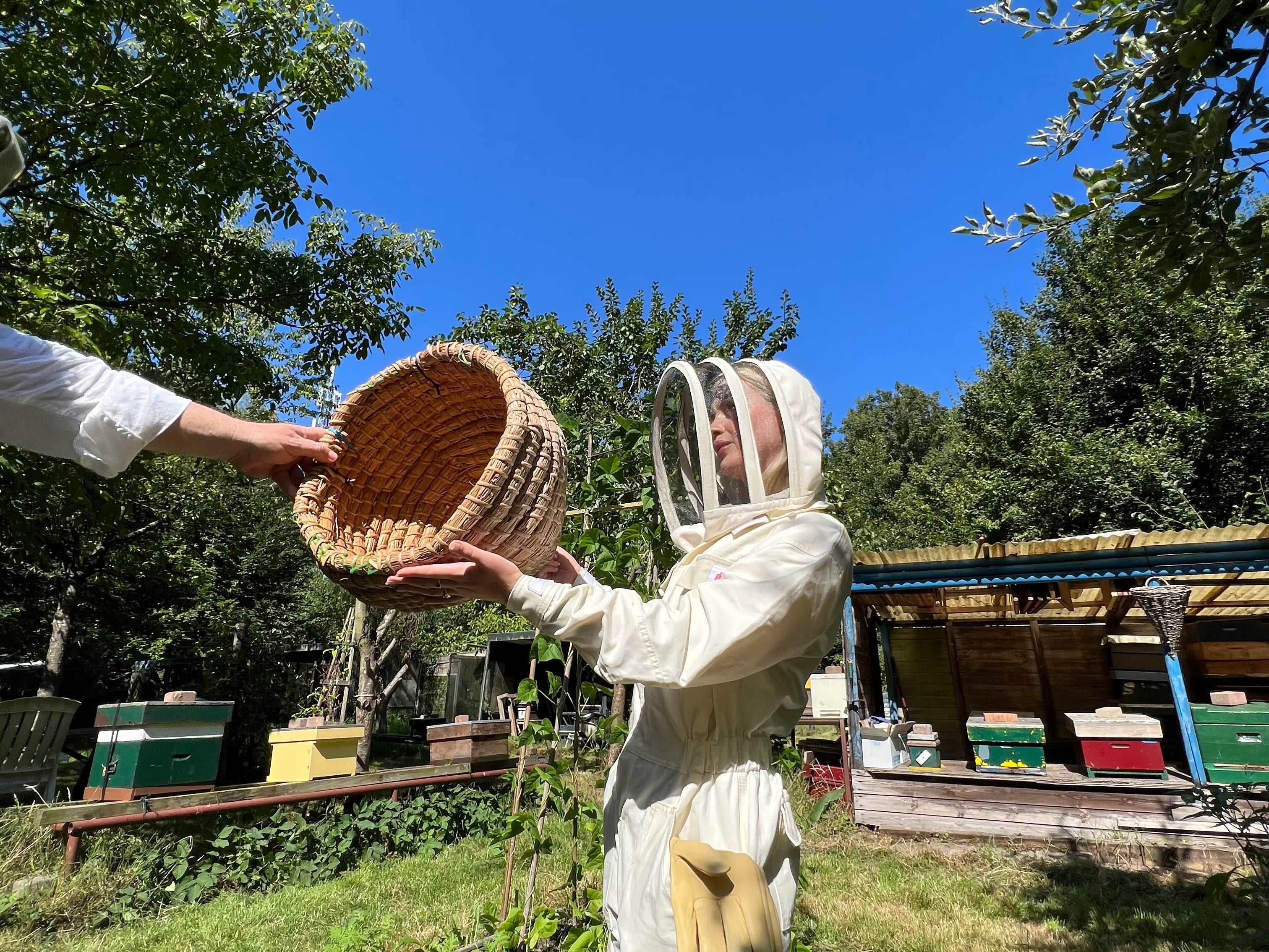 Doigts de miel Mirsalehi Bee Garden