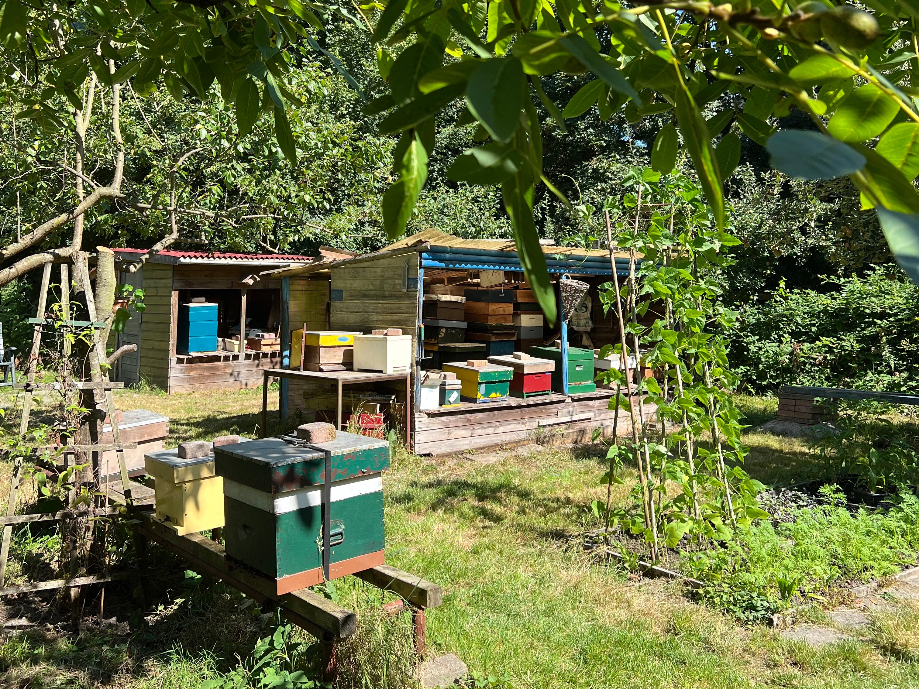 Doigts de miel Mirsalehi Bee Garden