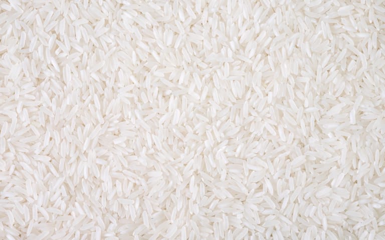 Organic rice protein