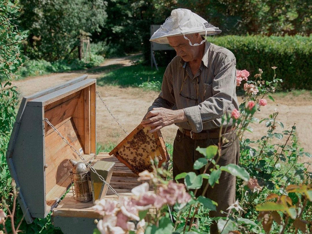 Mirsalehi beekeeping
