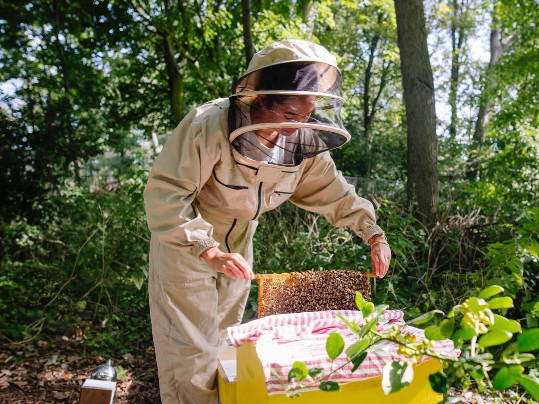 How to start beekeeping: four female beekeepers share their