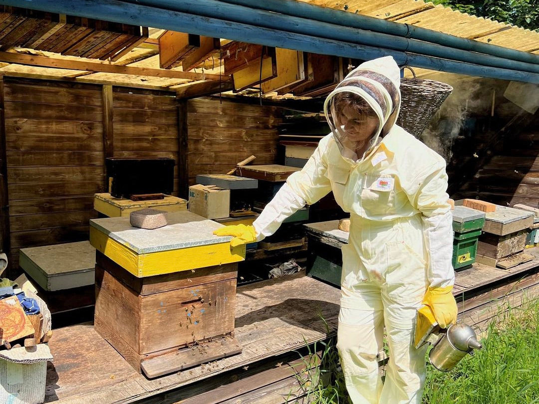 Liste de contrôle de l'apiculture d'automne pour aider les abeilles à hiverner