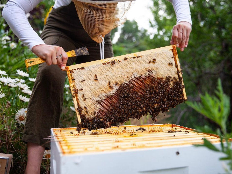 Female Beekeepers - @mckayjo