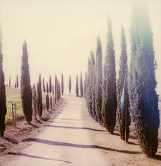 countyside Tuscany polaroid photo deco art 
