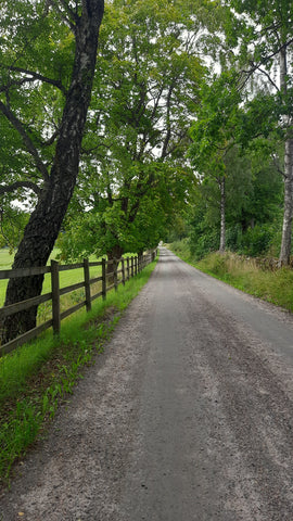 Beautiful gentle walks