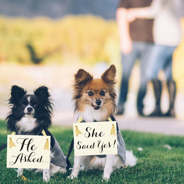 He asked + she said yes signs