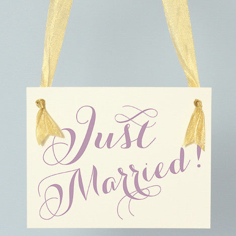 Just Married Hanging Wedding Banner for Bride and Groom 