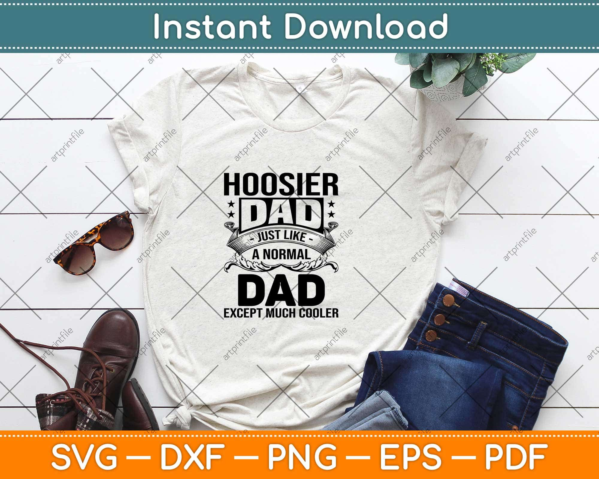 Hoosier Daddy by Ann McMan