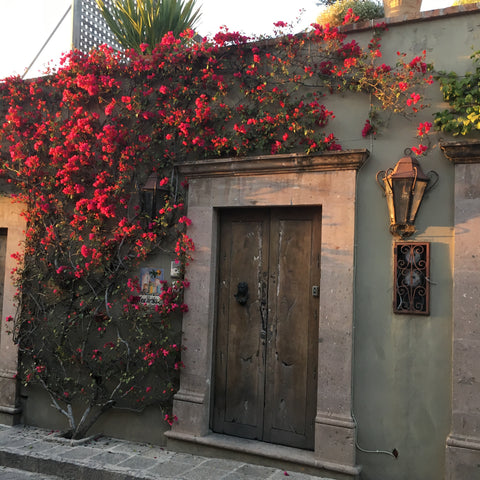 San Miguel de Allende by Zinnia Folk Arts