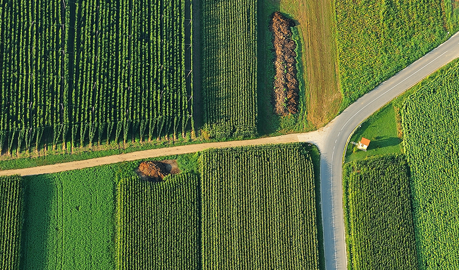 An aerial photo of a Slovenian hop farm