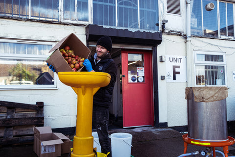 Pressing apples