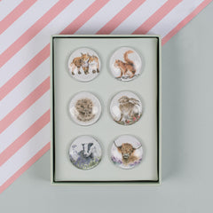 Photo of six glass magnets in a sage green box. The six designs are some of Wrendale Designs most popular including highland cow, hedgehog and hare.