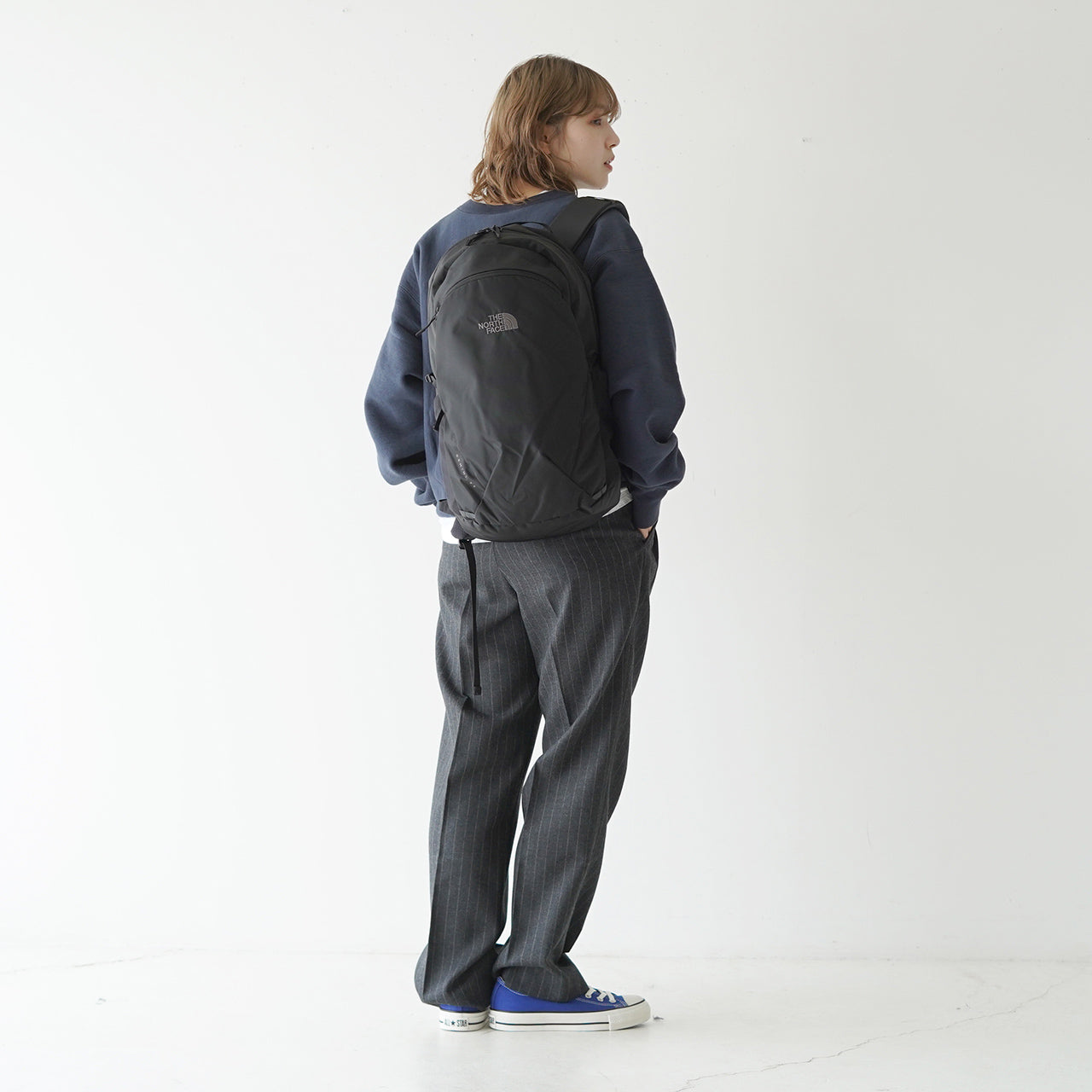 THE NORTH FACE ノースフェイス ジェミニ 22 Gemini 22L デイパック ...