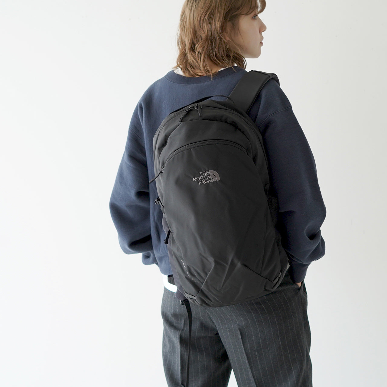 THE NORTH FACE ノースフェイス ジェミニ 22 Gemini 22L デイパック ...