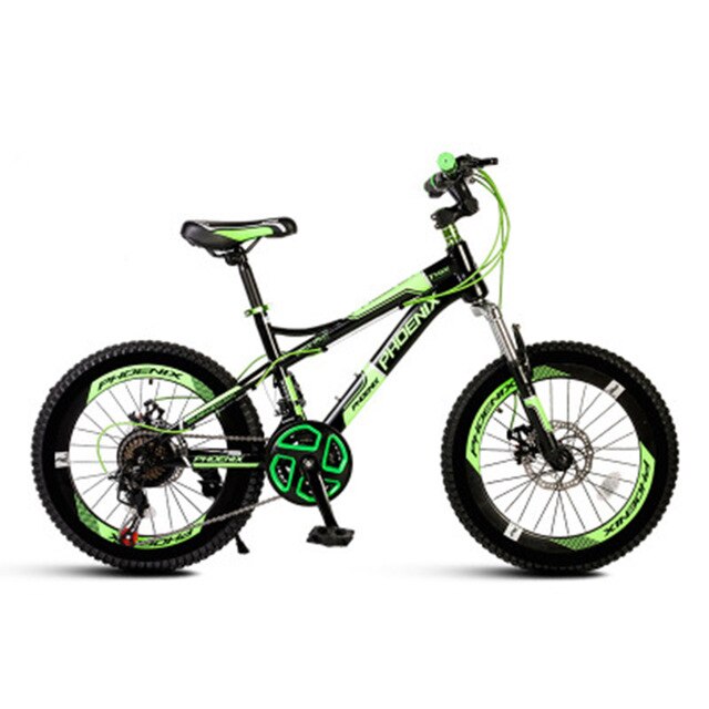 22 inch fat tire bike