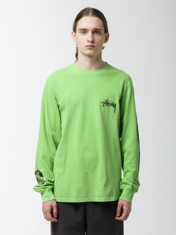 ステューシーSTUSSY PAINTER PIG DYED LS TEE Mサイズ - Tシャツ