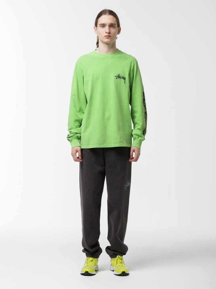 新品タグ付き】stussy Venus pig dyed L/S Tシャツ参考定価2万円 - T