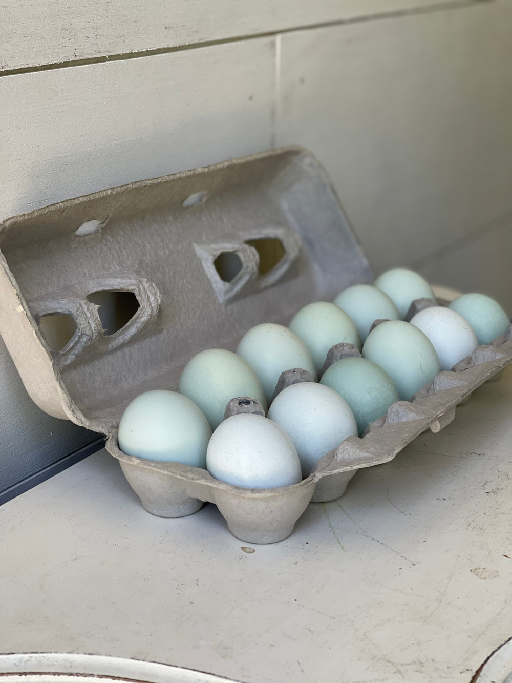 lavender ameraucana eggs