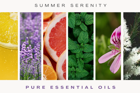 Photo collage of plants of the summer serenity essential oils