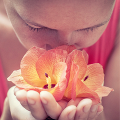 Lady smelling hibiscus flowers