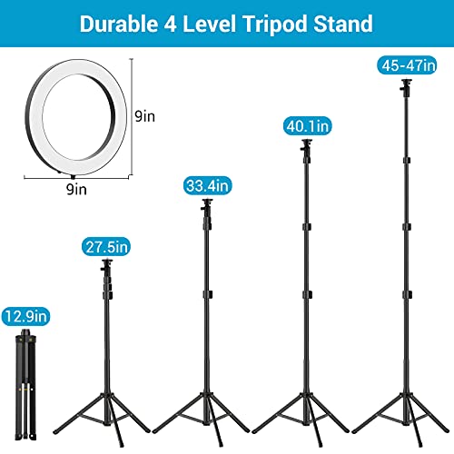 LED Circle Lights