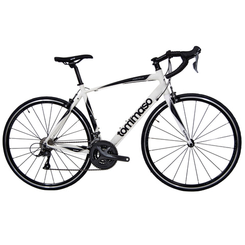 tommaso forcella endurance aluminum road bike