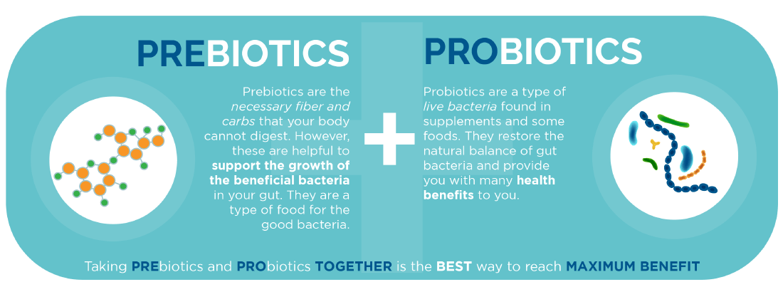 Prebiotics are the necessary fiber and carbs that your body cannot digest. However, these are helpful to support the growth of the beneficial bacteria in your growth. They are a type of food for the good bacteria.