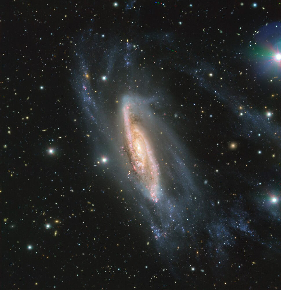 Barred spiral galaxy NGC 3981