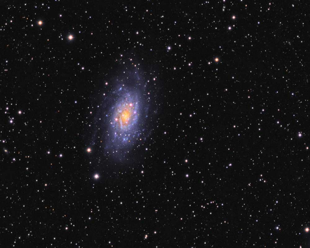 Barred spiral galaxy NGC 2403