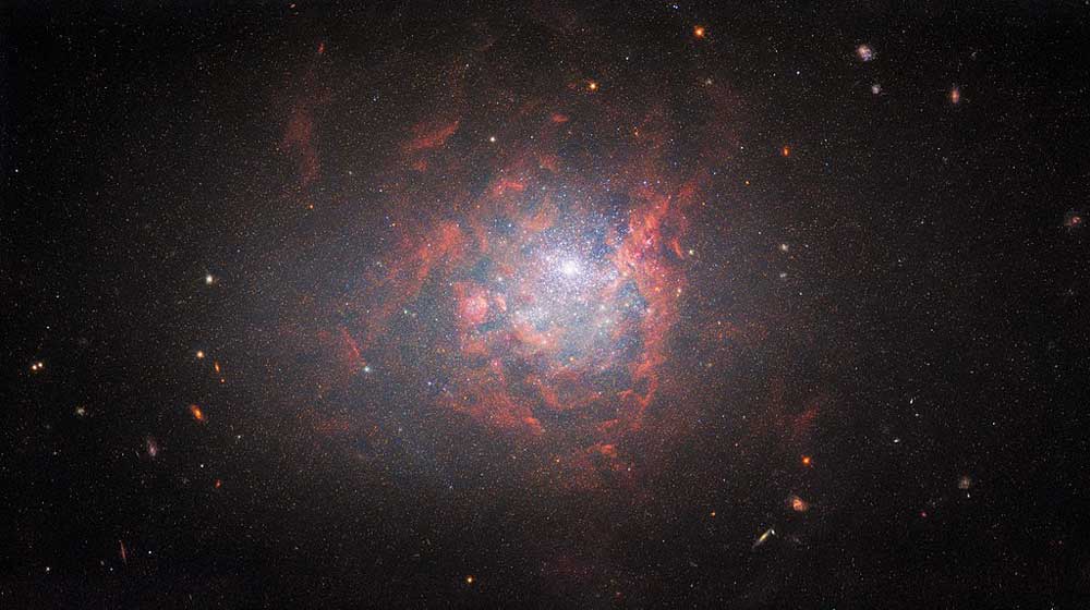 Elliptical dwarf galaxy NGC 1705