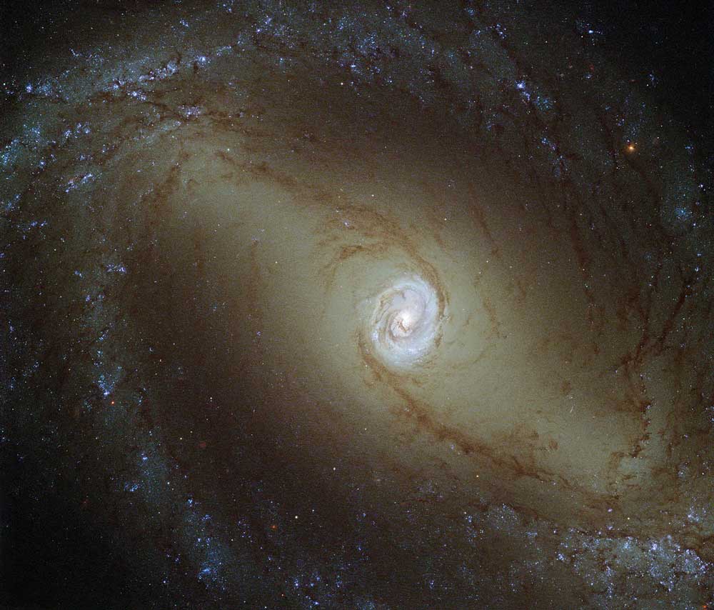 Barred spiral galaxy NGC 1433