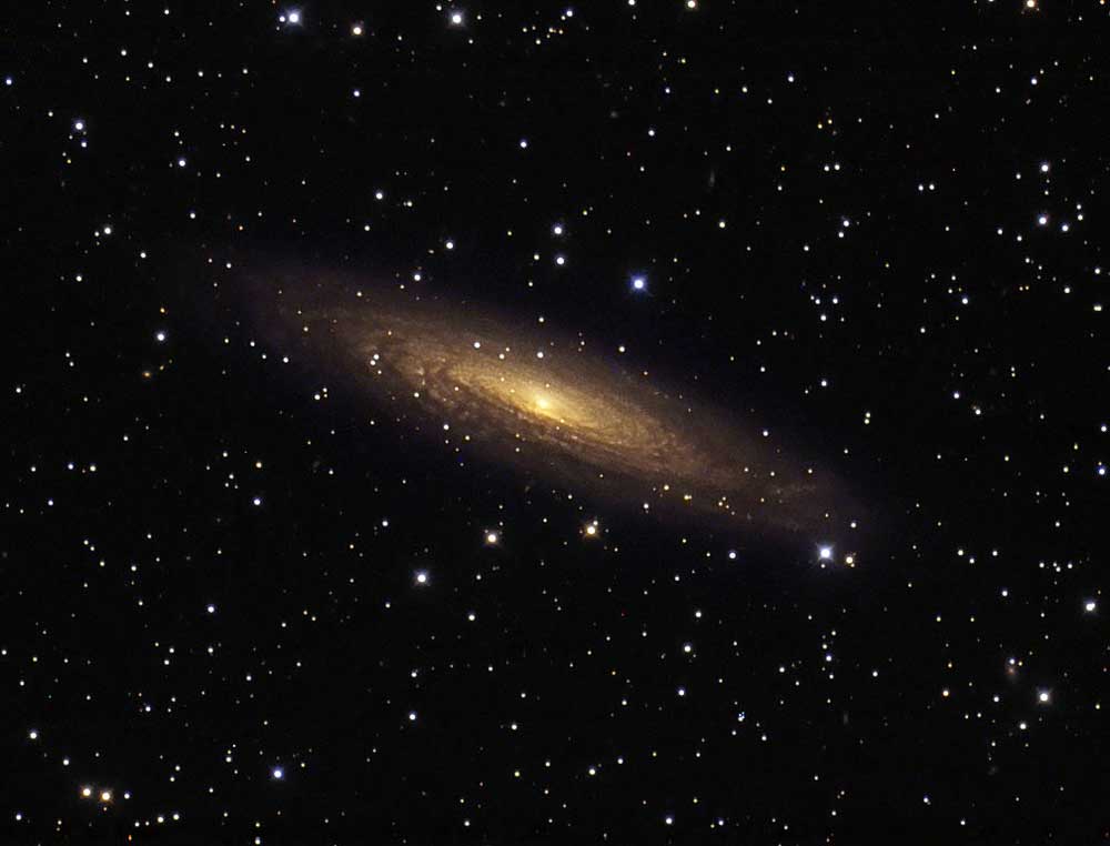 Spiral galaxy NGC 2613