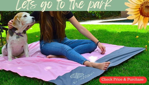 girl at park sitting on waterproof picnic blanket with dog - beagle