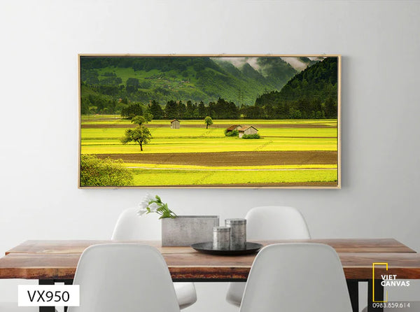 tranh phong cảnh cánh đồng lúa chín