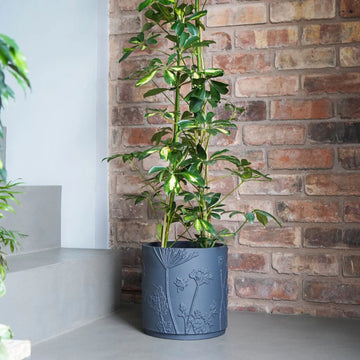 Kew Stoneware Midnight Meadow Planter Pots & Planters Ivyline