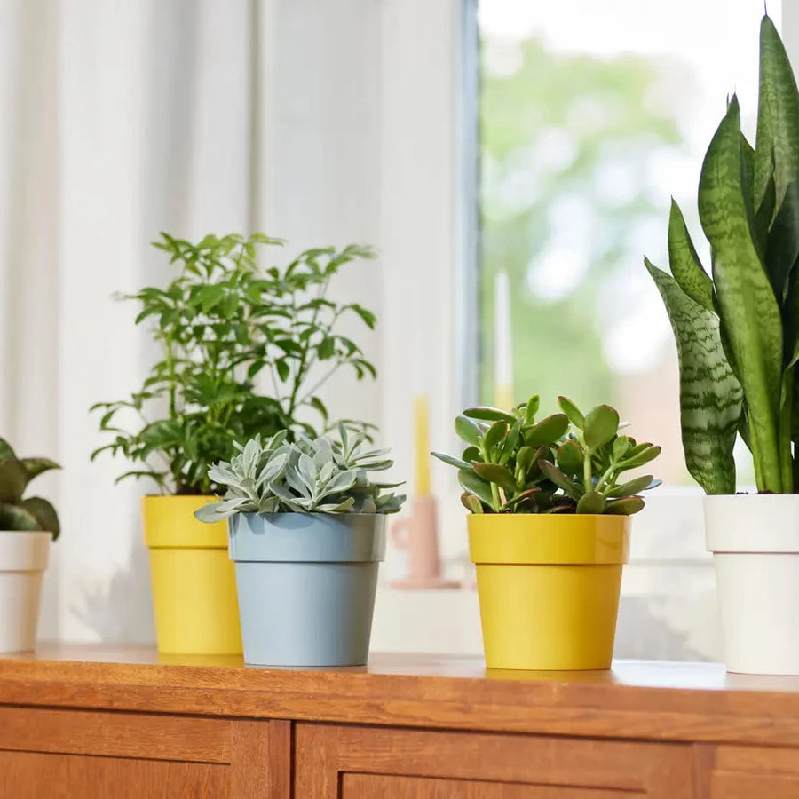 Elho B.For Original Round Pots & Planters Elho