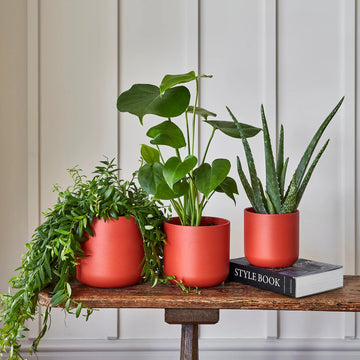 Lisbon Coral Plant Pot Pots & Planters Ivyline