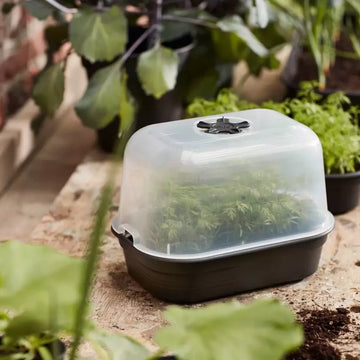 Elho Green Basics Grow House Pots & Planters Elho
